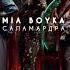 MIA BOYKA САЛАМАНДРА