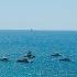 2025 Boston Whaler Key West Rendezvous MarineMax Fort Myers
