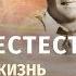 Аудиокнига на русском Сверхъестественное Глава 1 Евангелист свидетельство