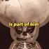 Is Toad S Head Just A Hat Mariomovie Gametheory Easteregg Supermario Nintendo