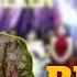 BEBAS HALILI ADELLA LIVE BANYUATES THANKS SUPPORT NO REKEN Adella Cover Dangdut Trending