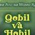 Odam Ato Va Momo Havo Haaqlarida Hikoya Korishingiz Shart