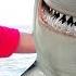 Baby Shark Kids Songs And Nursery Rhymes Animal Songs From Sweet Emily Meme