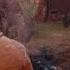 Red Dead Redemption 2 The Campfire Singing Rye Whiskey
