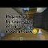 DISASTER BUILD BEGINS Thepeacockfeathergirl Lokicraft Youtubepartner Minecraft Shorts