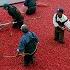 US Farmers Harvested 791 Million Pounds Of Cranberries This Way Cranberry Harvesting
