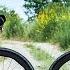 Right Bike Wrong Ride