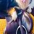 Dog Sneaks Away To Lick His Horse Buddies Every Day Cuddle Buddies
