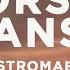 Stromae Alors On Danse Slowed TikTok Remix Lyrics