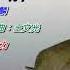 還我真情 譚詠麟 卡拉伴奏版