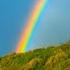 𝕃𝔼𝕆 ℝ𝕆𝕁𝔸𝕊 Colors Of The Rainbow TatianaBlue