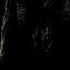 Обзор Darkwood 2014 Старичок идем на пикничок