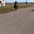 Charles Riding ASAP Standardbred 3 4 2 Yr Old