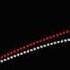 Quadrupedal Launch In Pterosaurs Animation