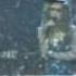 Maxime Le Forestier Vanessa Paradis Complainte Du Phoque En Alaska