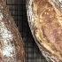 101 Beginners NO KNEAD Sourdough Loaf Start To Finish Bake With Jack