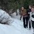 Nala Stomps Spotted On A Random Trail BrodieThatDood Goldenretriever Dog