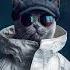 Max Freegrant Slow Fish Up And Down Extended Mix Freegrant Music