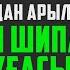 Барлық аурудан арылу Алладан шипа сұрау Дұғасы қари Ыхлас Салих Куран сурелер мен дугалар