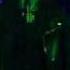 Marduk Burn My Coffin Live