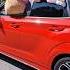 Big Pou Is Driving Pou Plushie Plushtoy