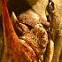 Gladiator II 2024 BADASS WAR RHINO Scene Movieclips