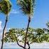LE SERENO Luxury 5 Star Boutique Hotel In St Barts Full Tour In 4K