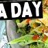 What I Eat In A Day How To Speed Up Fat Loss