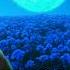 Answering Questions About Time Travel Aliens Negative Gravity