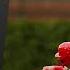 Reds Vs Cubs Game Highlights 5 30 25 MLB Highlights