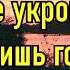 В Тебе укроюсь я