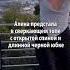 Пока сын Орбакайте развлекается на Мисс Казахстан его жена балует Сеть горячими кадрами