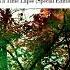Ludovico Einaudi Walk Starkey Remix Official Audio