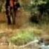 The Life And Times Of Grizzly Adams 1977 Series Intro