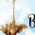 Apostle Gino Jennings Rare Video 7 Day Fast Powerful Teaching All Things Will Come To An End