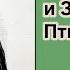 Шерлок Холмс и Золотая Птица Фрэнк Томас Роман Часть 4 6 Аудиокнига Детектив