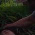 The Girl Lay Motionless In The Banana Bushes Luckily The Landlady Passed By And Helped