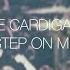 The Cardigans Step On Me Audio