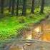 I HAVE To Get My Motorcycle Out Of This IRISH Forest S1E71