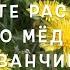 А можете рассказать про мёд из одуванчиков разыгрываем ПРИЗ стоимостью 5000 руб
