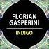 Florian Gasperini Indigo Extended Mix Univack