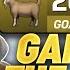My Return To GOAT Difficulty Was Insane