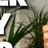 Popular Plant Products I Ll NEVER Buy Again And What I Use Instead