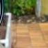 Drip Irrigation For Raised Beds Step By Step Guide Never Hand Water Again