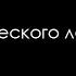 Звуки тропического леса 10 часов