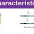 SNP Single Nucleotide Polymorphism Marker Detection Characteristics Methods