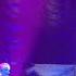 Heart Barracuda Live Fox Theatre Detroit MI June 2025
