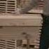 Top Bar Hive