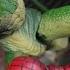 Marvel Legends Lizard Spider Man No Way Home Movie Deluxe Amazon Exclusive Action Figure Review