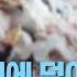 5톤 쓰레기에 덮여 있었다 학대 정황은 없어 2020 12 01 뉴스데스크 MBC